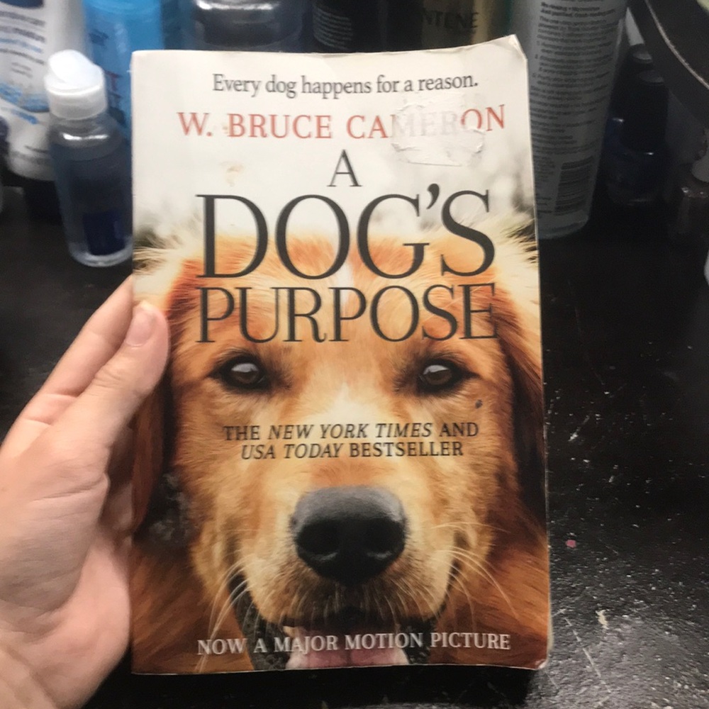 a dogs purpose